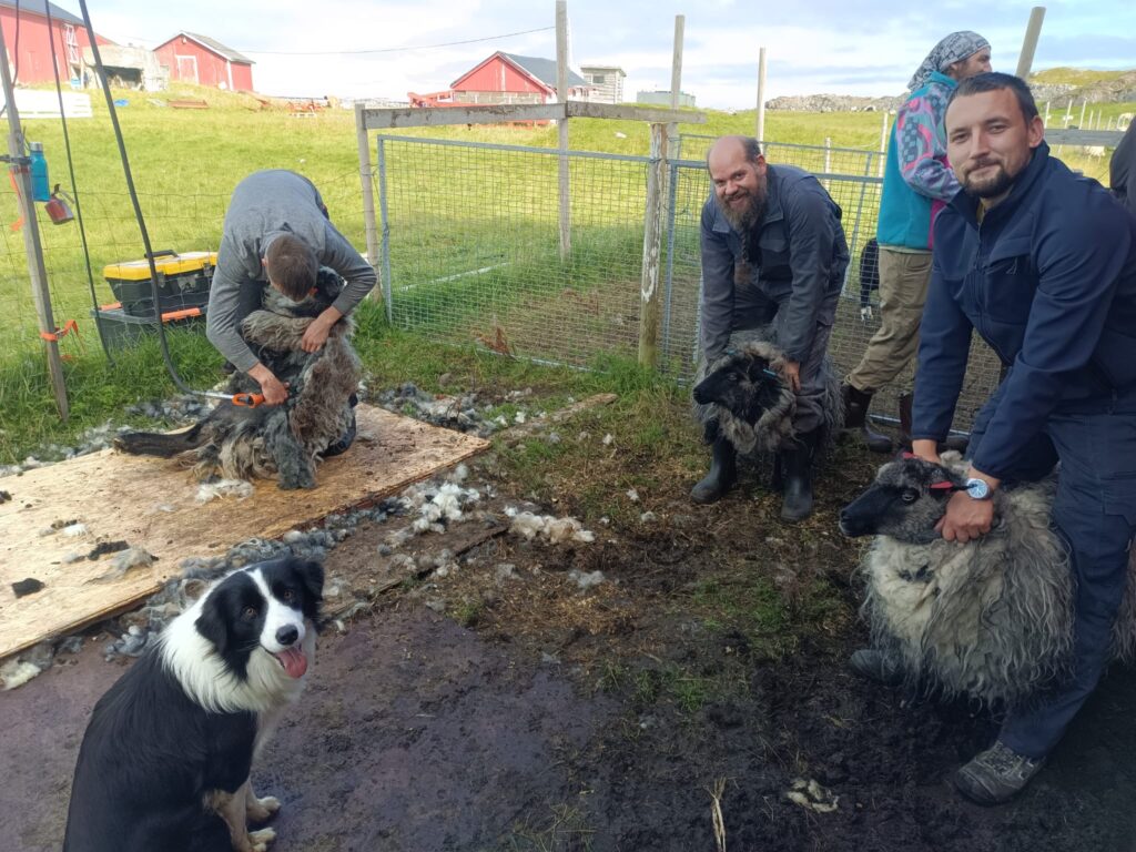 1a497ab8-e9fe-4be5-8e3e-68dfea9f70b3