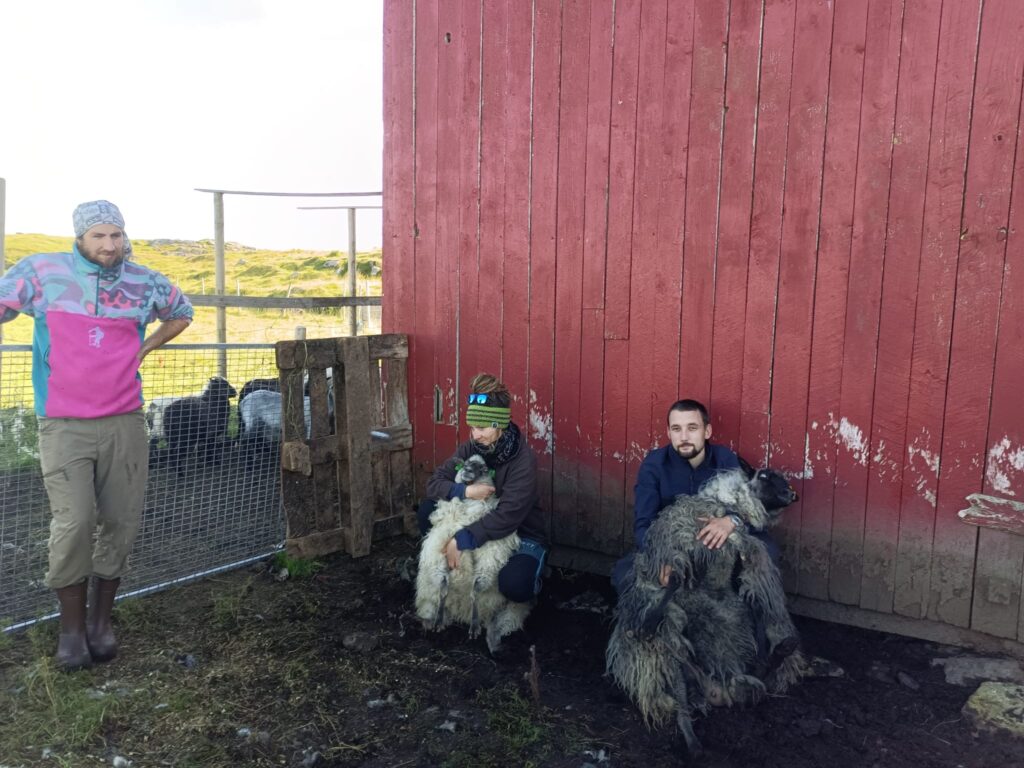 cd4967fd-6fee-484e-b2ba-ba3374abe1a2