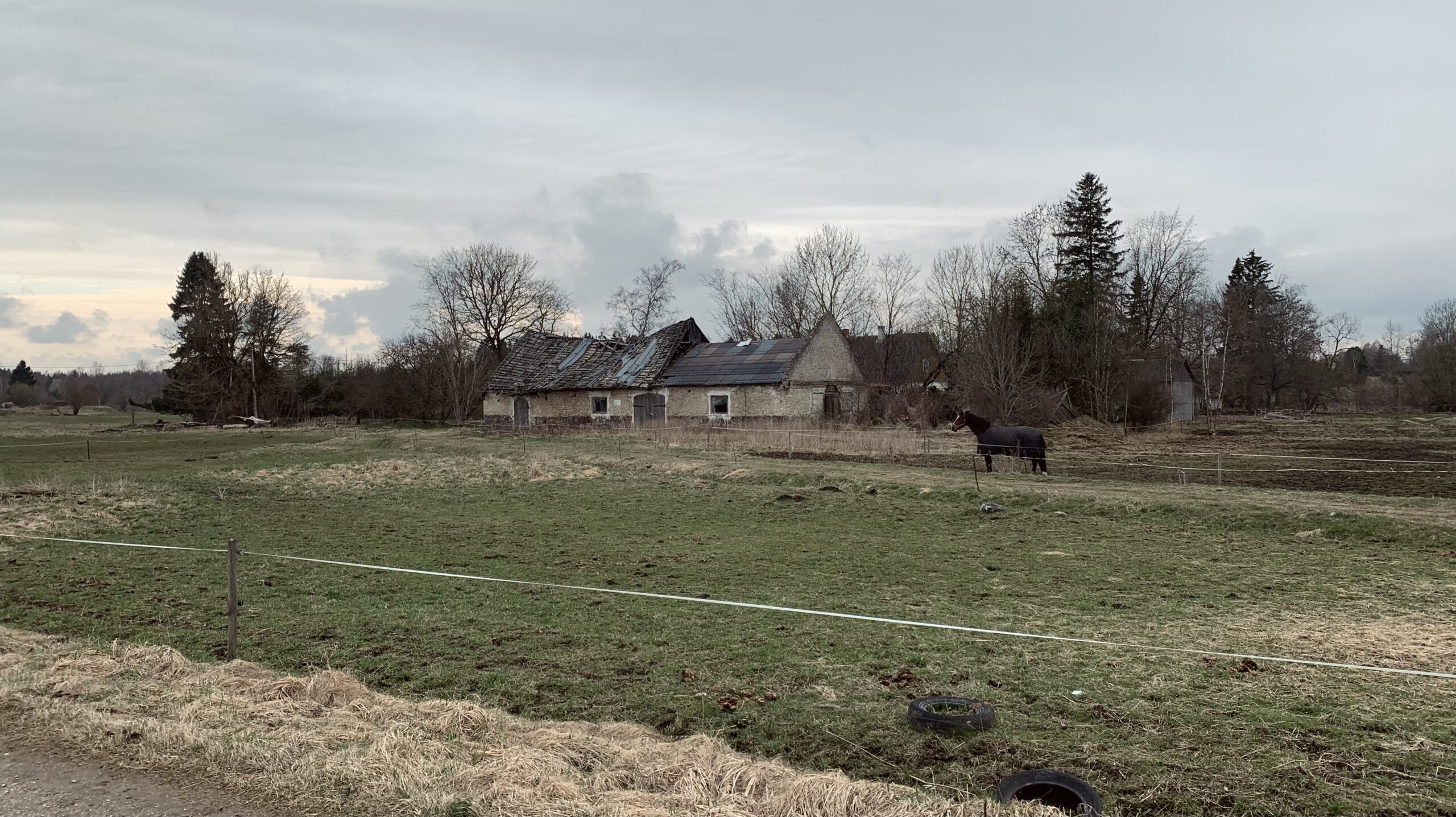 Bis zu den Knien im Morast